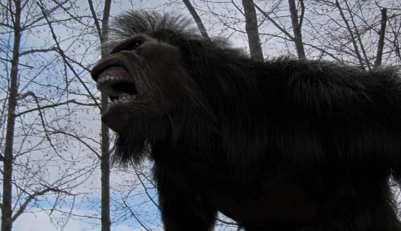 Američan zaznamenal strašidelný Bigfoot Roar