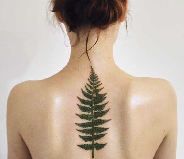 Fern tetovanie  