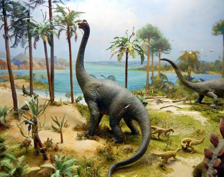 Obrovská kosť dinosaurov nájdená vo Francúzsku