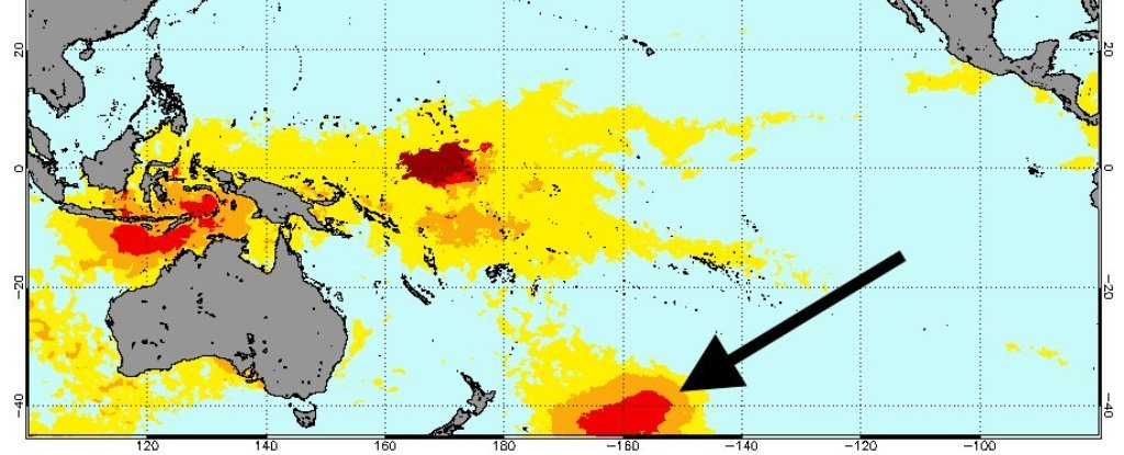 „Horúca bublina“ v Tichom oceáne zabila milión morských vtákov za jeden rok 