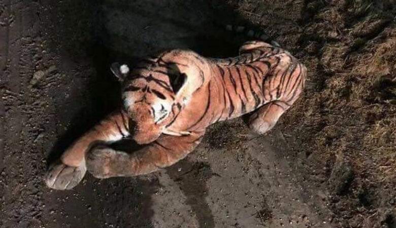 Toy tigr vystrašil britskú políciu