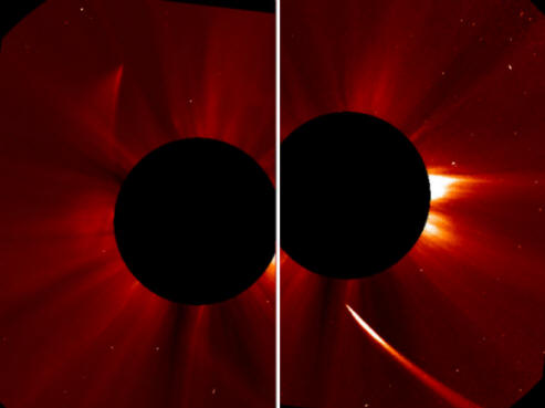 ISON Comet Phoenix sa znovu narodil z popola