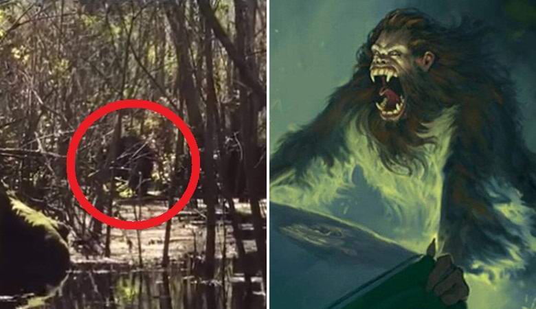 Legendárna opičia opice fotografovaná v močiaroch na Floride.