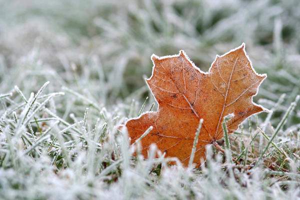 Ľudové znamenia, sprisahania, zvyky 29. novembra (deň apoštola Matúša Leviho) 