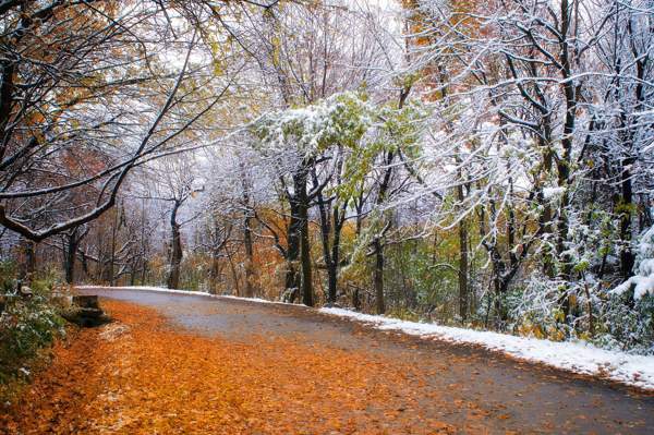 Ľudové znamenia, sprisahania, zvyky 29. novembra (deň apoštola Matúša Leviho) 