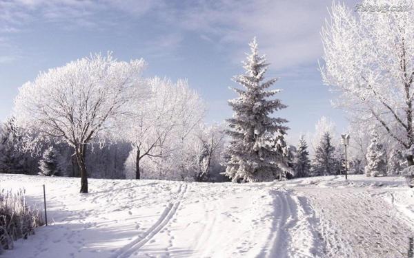  colnice 1. decembra 