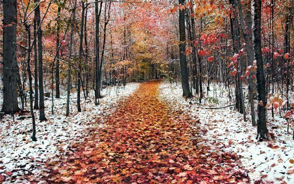 Ľudové znamenia a zvyky na 22. novembra - v deň Matryony Winterovej 