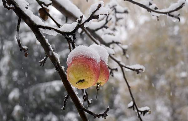 Ľudové znamenia a zvyky 27. novembra (deň Filipa) 