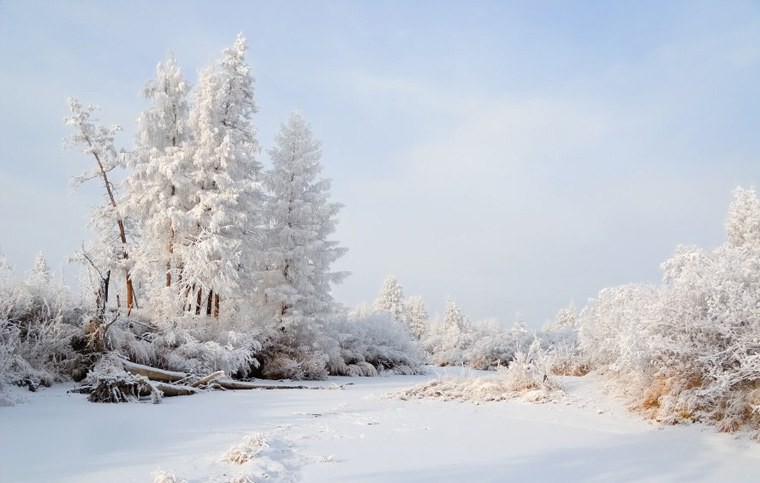 Oymyakon - tyčinka nachladnutia