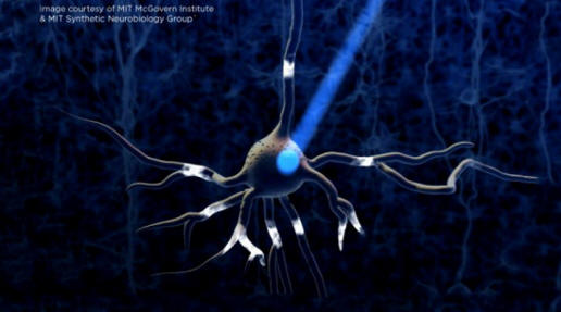 Optogenetics neurón 640x353