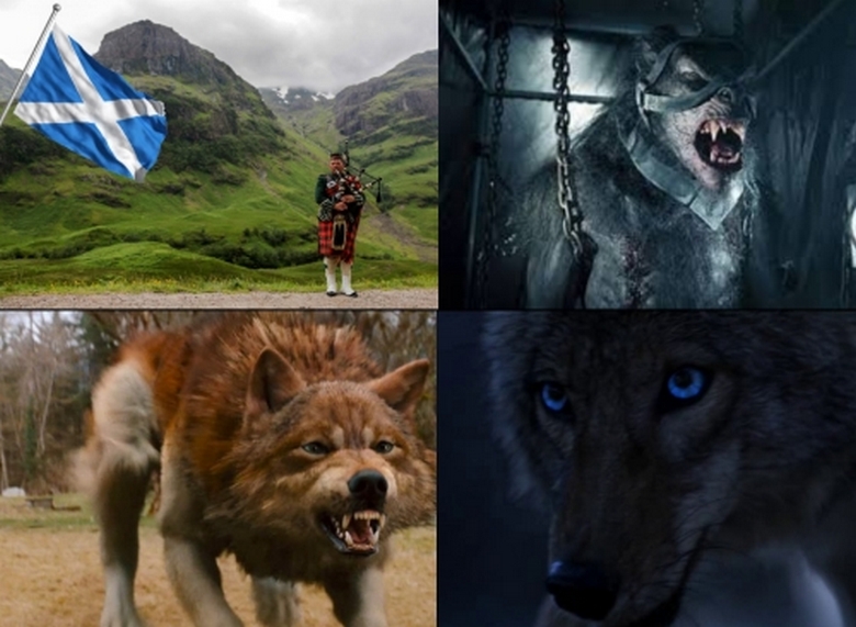 Vlkodlaci putujú po Škótsku?