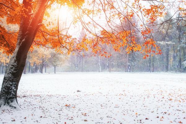 Znaky a konšpirácie 13. novembra 