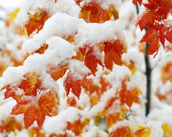 zvyky 13. novembra 