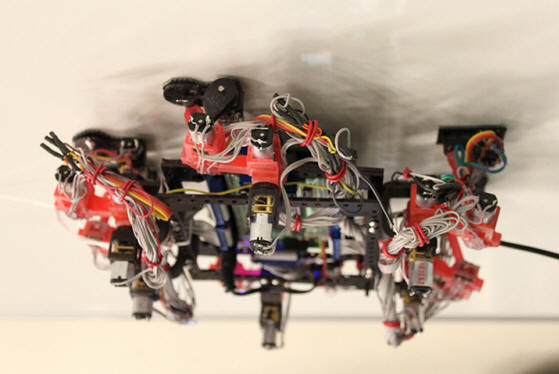 Agile_climber