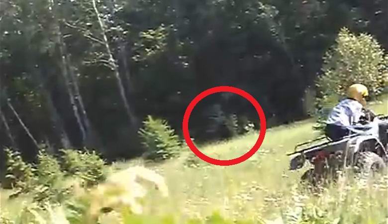 Snehuliak prechádzajúci lesným pasienkom náhodou spadol do objektívu videokamery