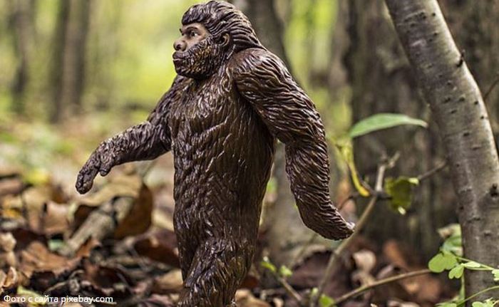 Bigfoot bol spozorovaný naraz na dvoch miestach v Rusku naraz