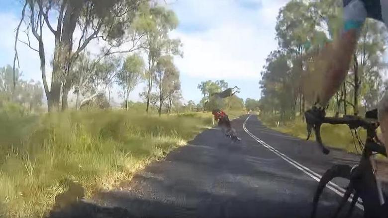 V Austrálii klokan priniesol cyklistu.