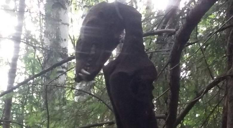 „V