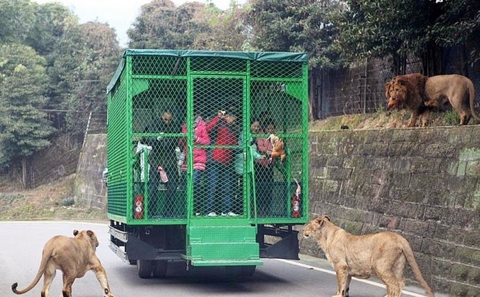 Zoo budúcnosti